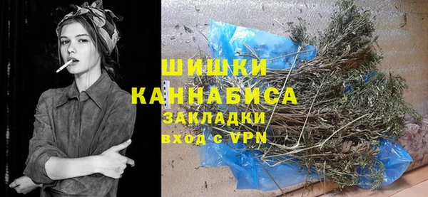 прущие грибы Балахна