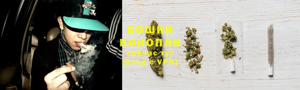 прущие грибы Балахна