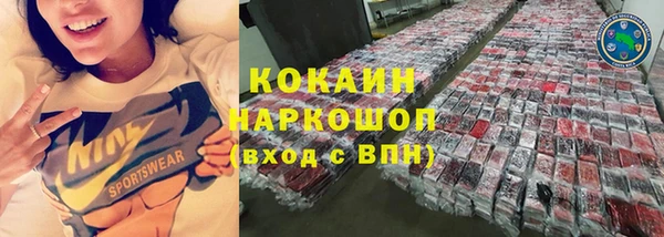 прущие грибы Балахна