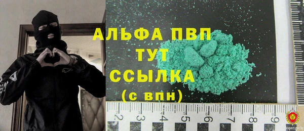 прущие грибы Балахна
