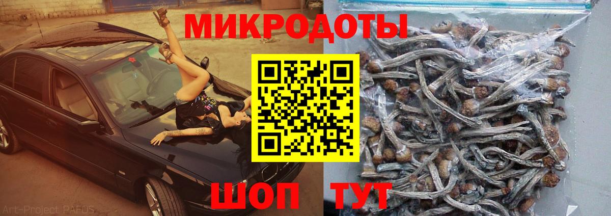 Унеча  Галлюциногенные грибы мицелий  хочу наркоту  Вход с VPN 