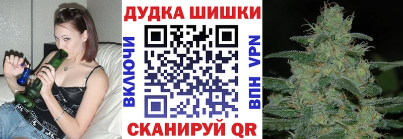 Бошки Шишки THC 21%  где купить наркоту  Унеча 